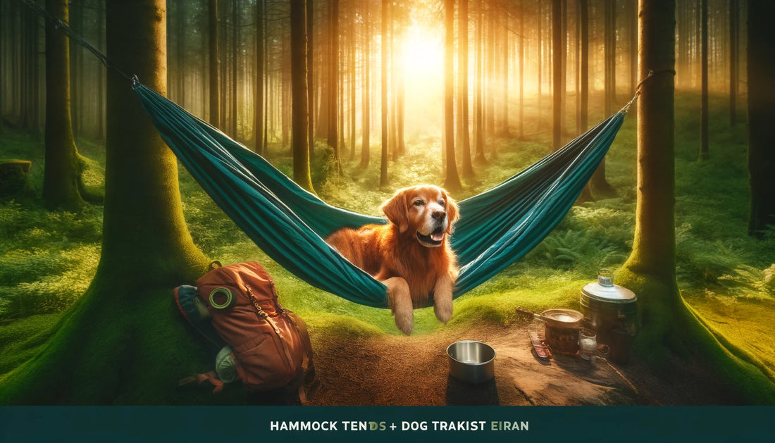 Hammock camping with a dog online